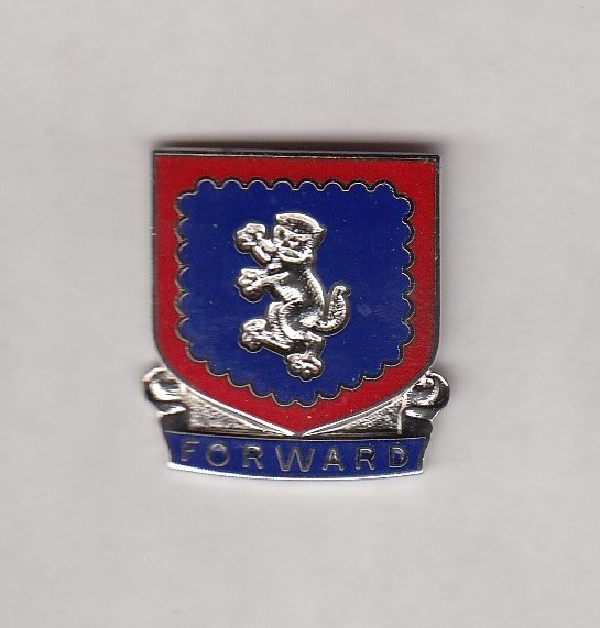 US ARMY 340th INFANTRY REGIMENT crest DUI badge c/b clutchback G-23