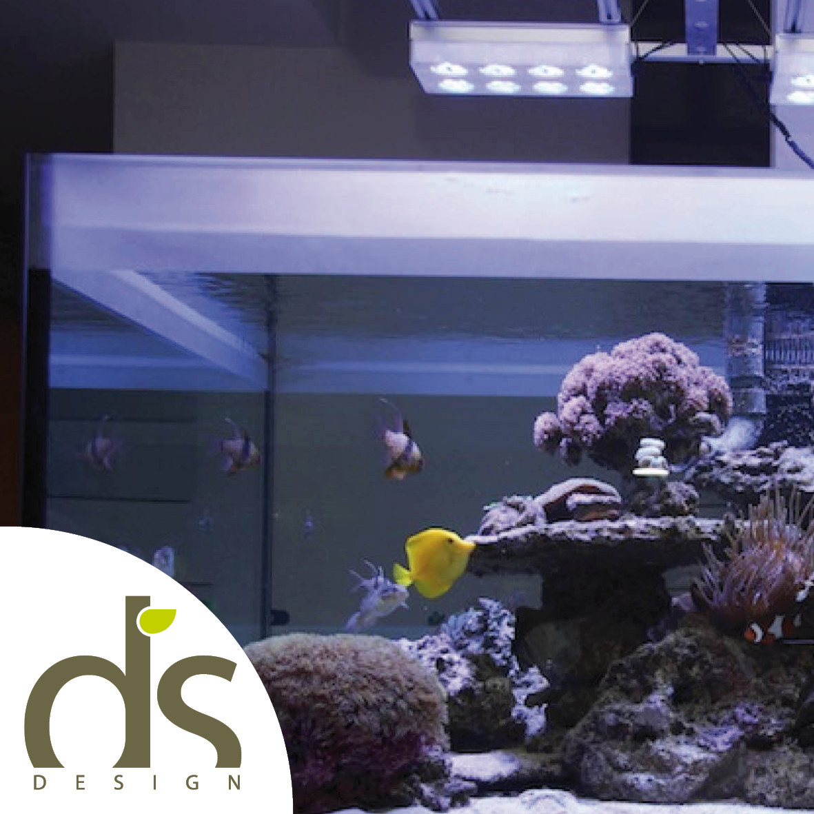 Translucent Glass Film Panel Sticker for Aquarium Backdrop Film Saltwater Nano