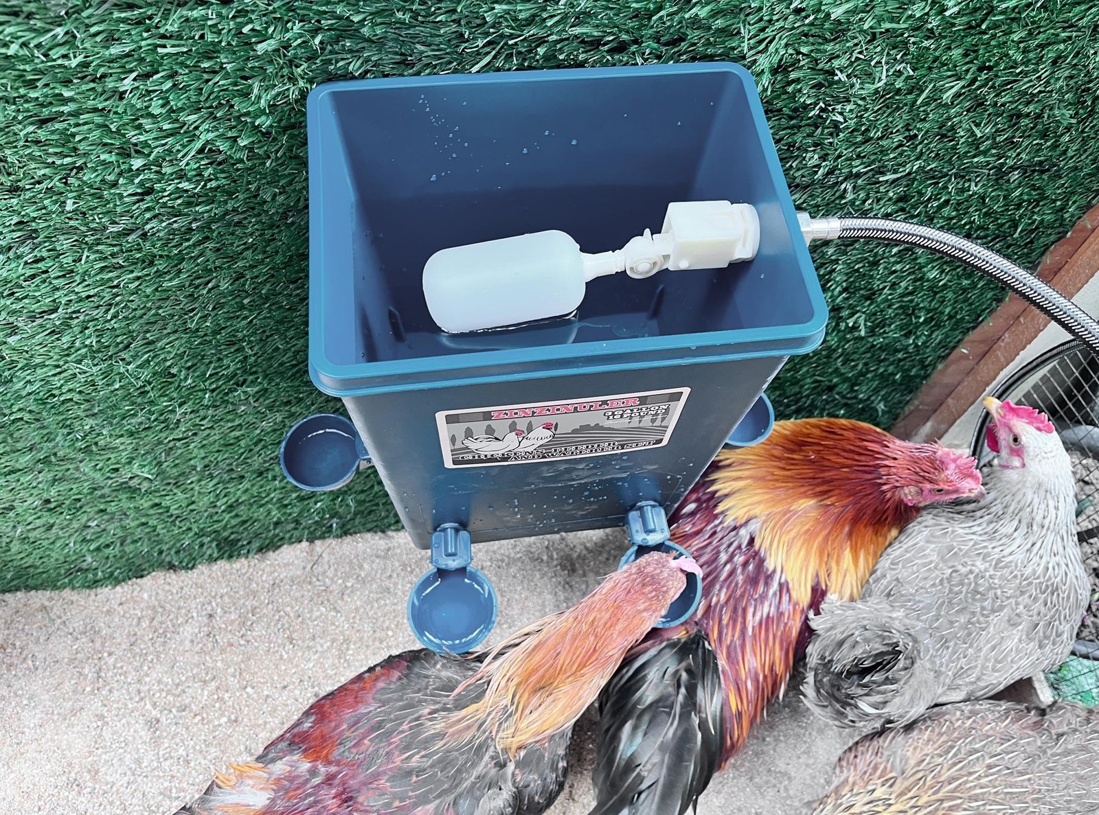 Automatic Chicken Waterer With Float Control And Large Capacity Pro
