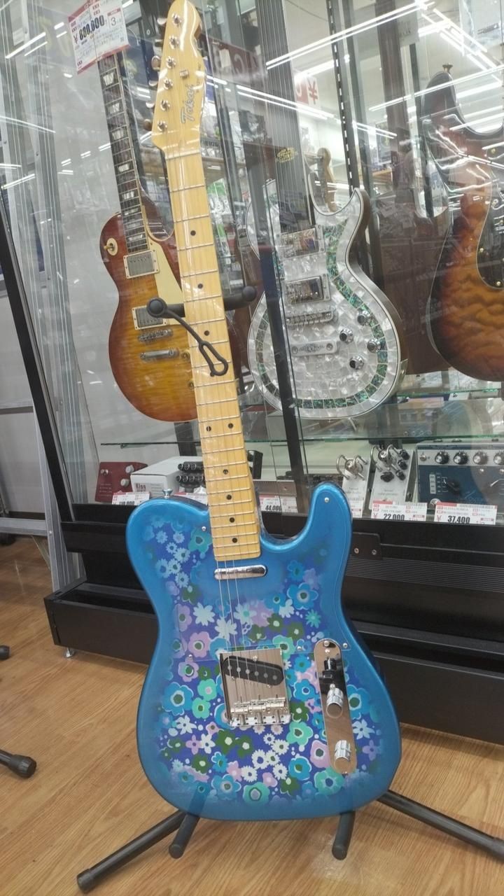 TOKAI Guitar ATE-101BF Used