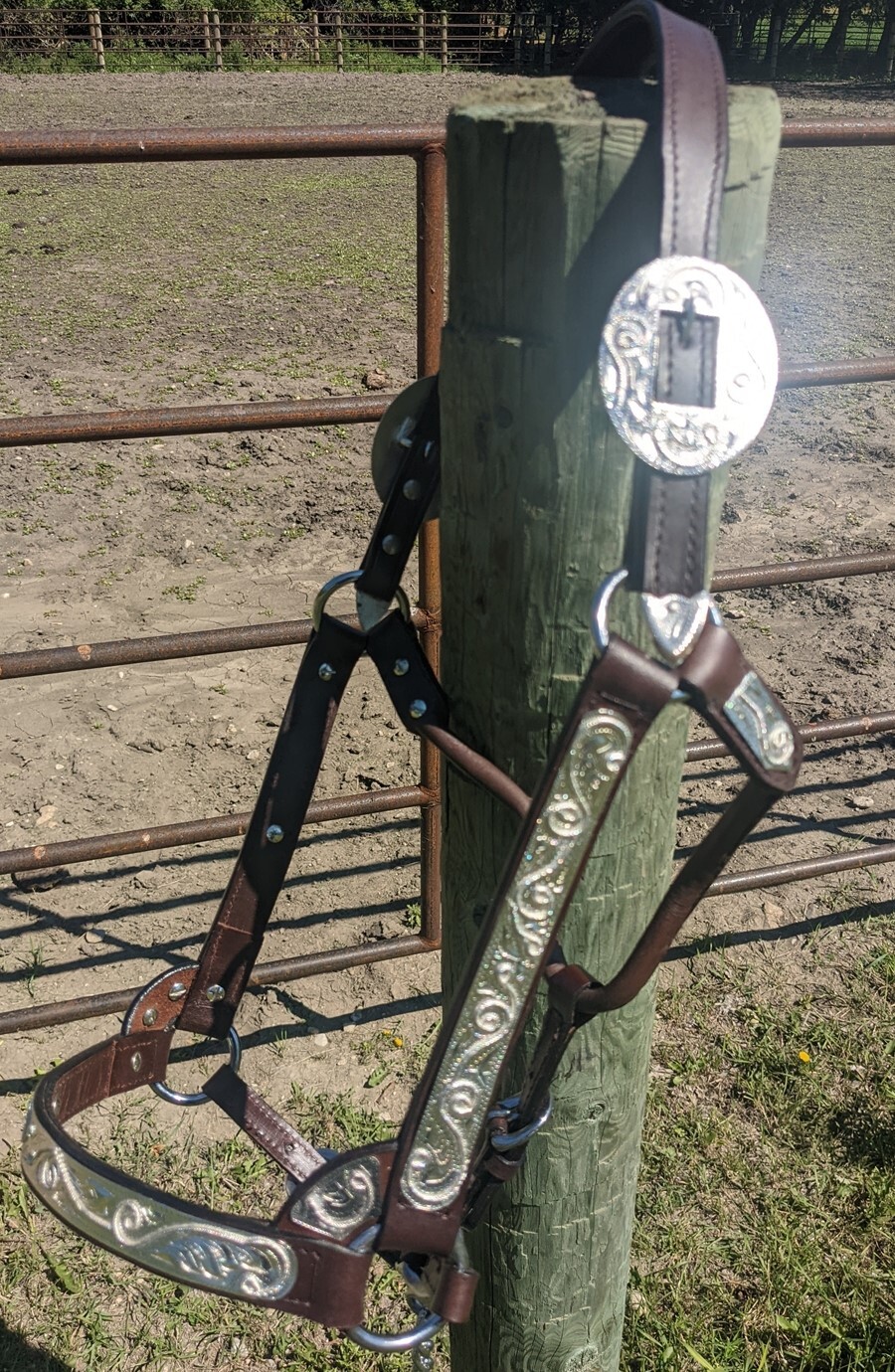 Silver Show Halter-Dark Oil Leather-Rope Design Horse Size-Matching Lead Shank