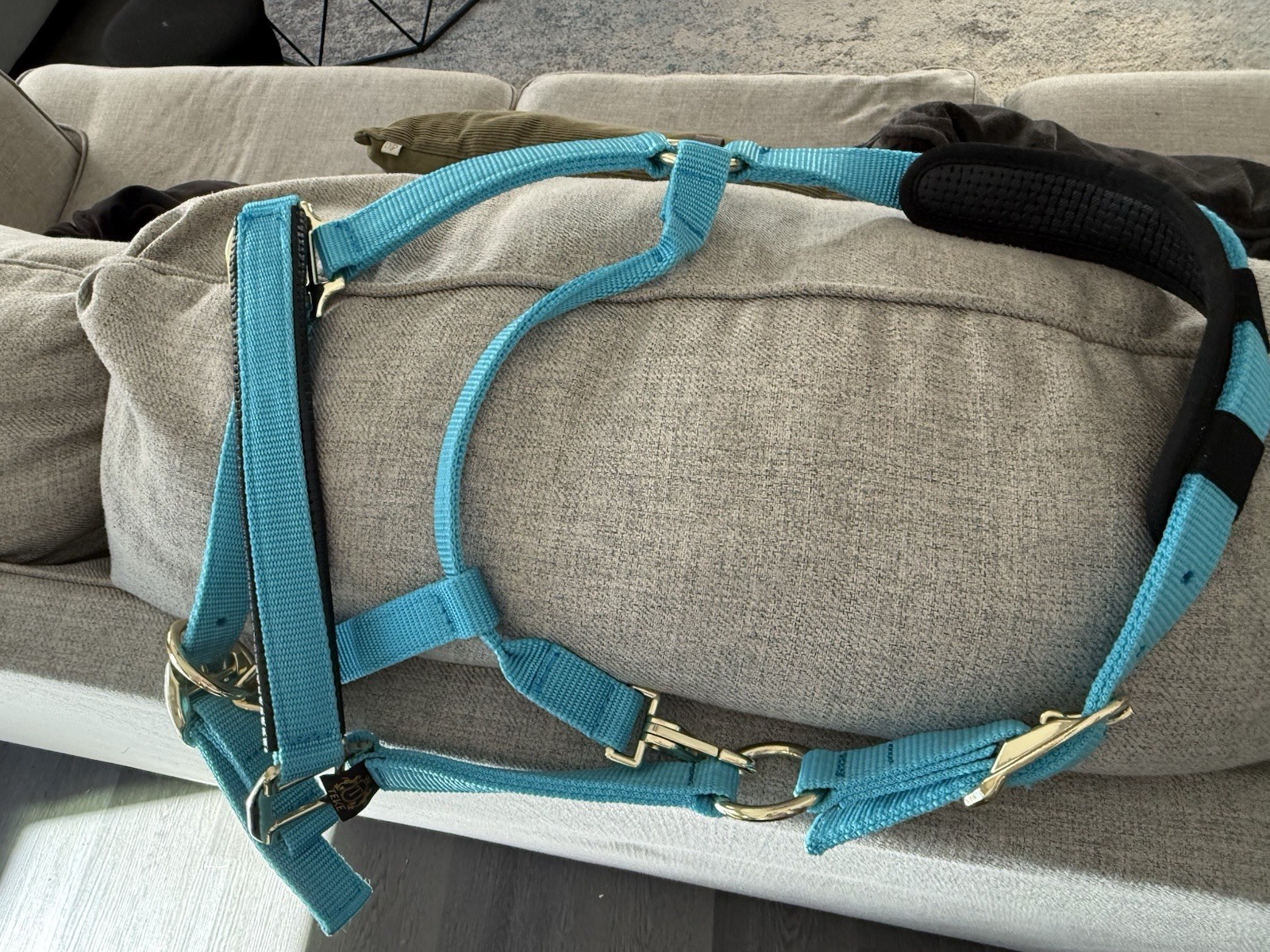 Equestrian halter