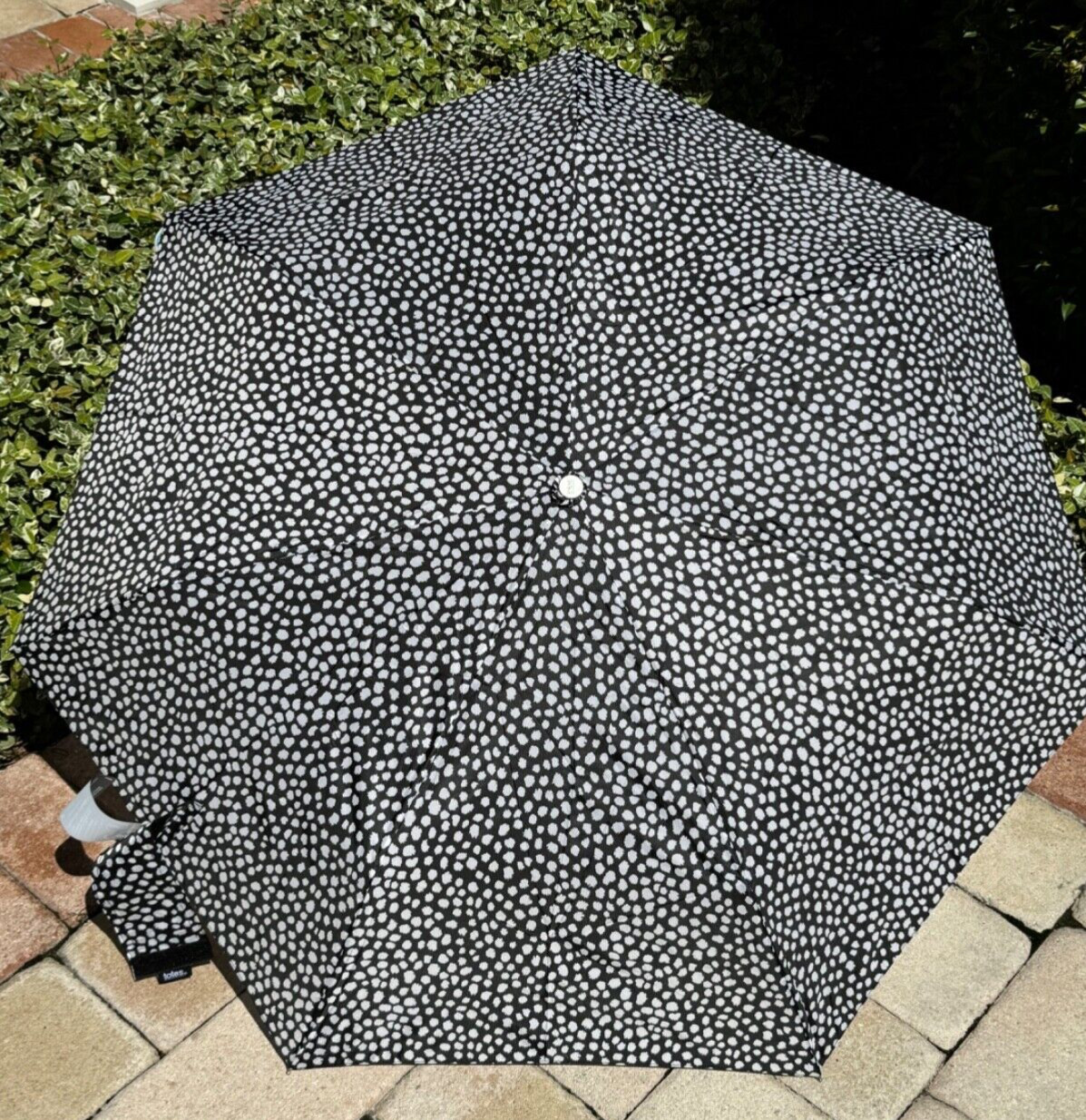 TOTES UMBRELLA  BLACK WHITE push open close 43 INCHES RETAIL-$26 NWT