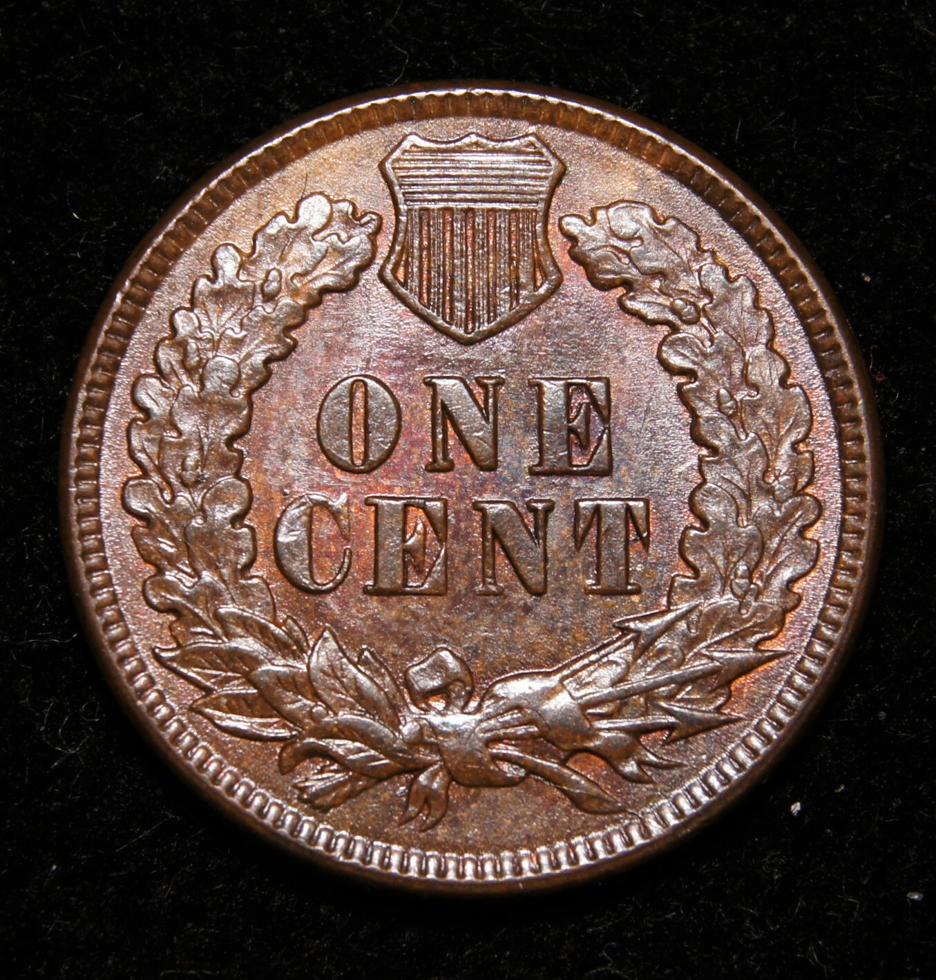 1893 Indian Head Cent, MS+++Brown Lustrus!