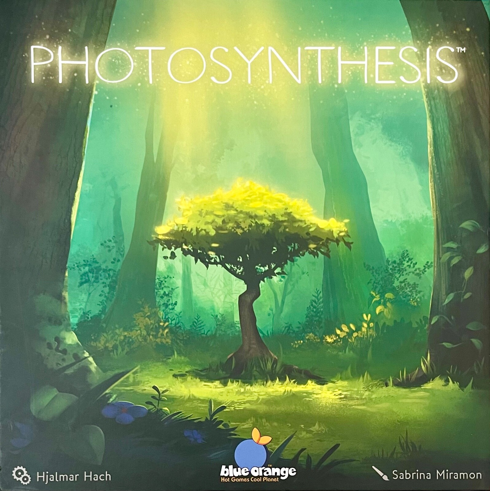 Photosynthesis Board Game Individual Replacement Pieces UPick Tokens Trees Board