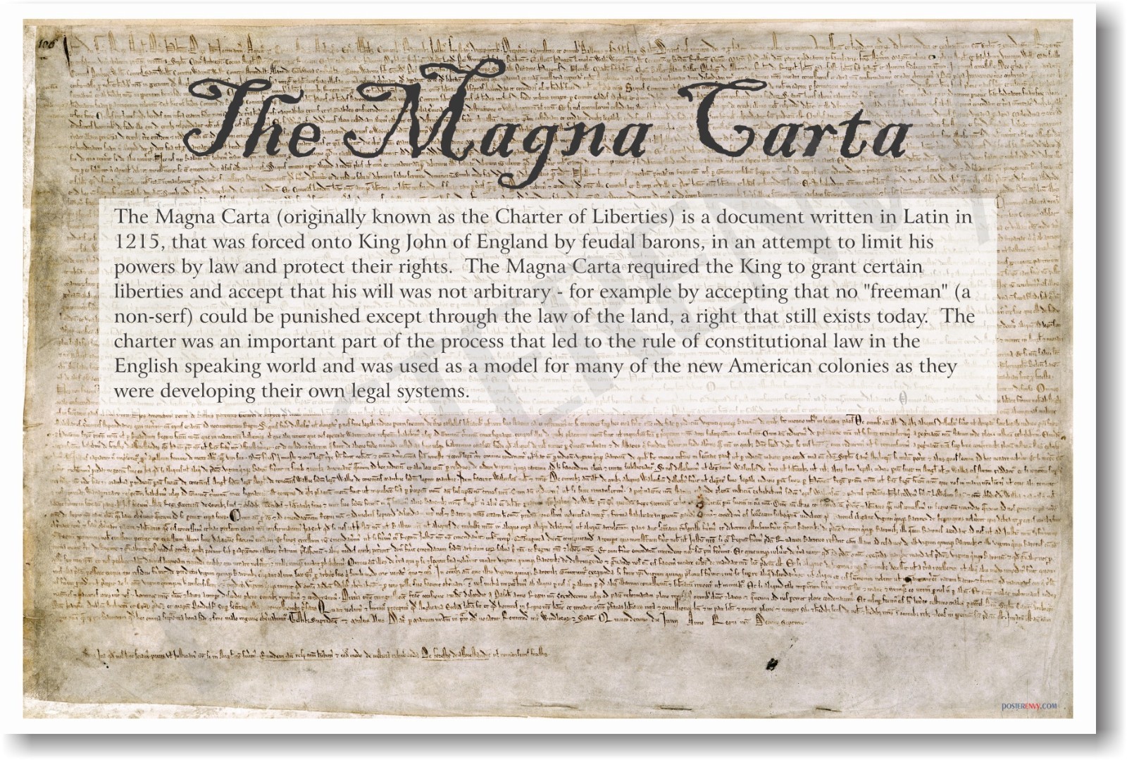 The Magna Carta - Common Core Classroom Social Studies Constitutional NEW POSTER