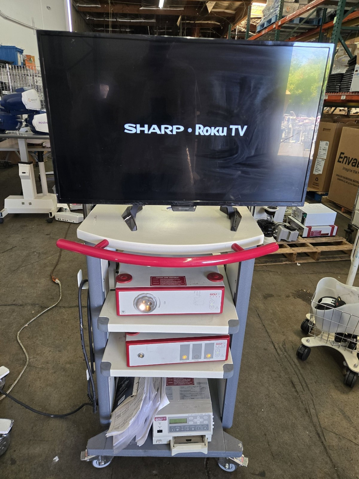 Richard Wolf Endocam 5124LP System 5365200 w/ CCD Camera Video Printer Sharp TV