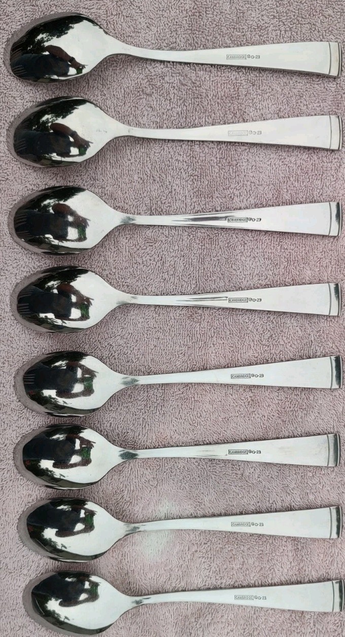 44pc Cambridge Gratitude Sand Stainless Flatware Complete service for 8+Serving