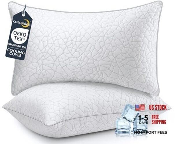 Bed Pillows Queen Size - Breathable Premium Down Queen Size (Set of 2) Medium