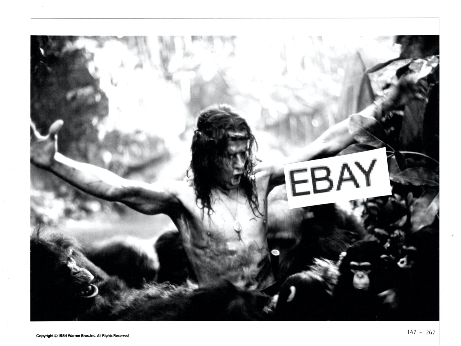 GREYSTOKE LEGEND OF TARZAN LORD OF THE APES 1984 ORIGINAL MOVIE PHOTO #1 LAMBERT