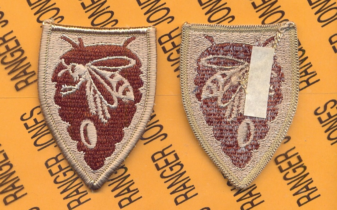 US Army North Carolina National Guard ARNG Desert DCU patch m/e