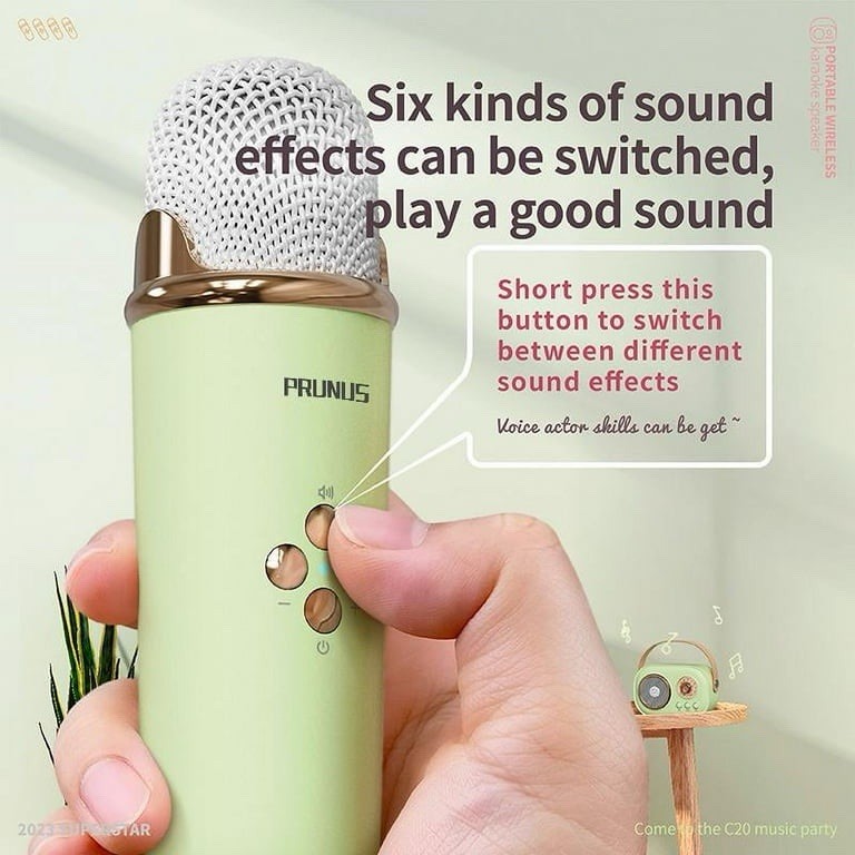 PRUNUS C20 Mini Karaoke Machine Portable Bluetooth Speaker