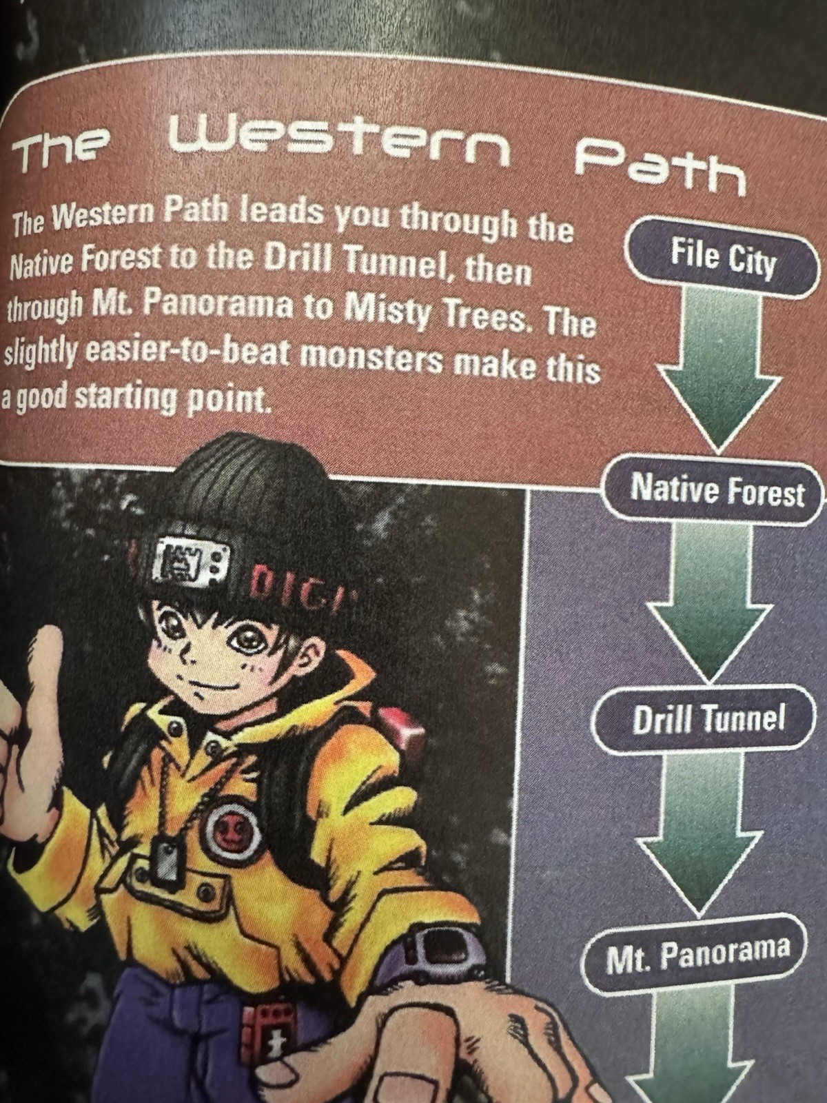 Digimon World Hardcover Strategy Guide Custom