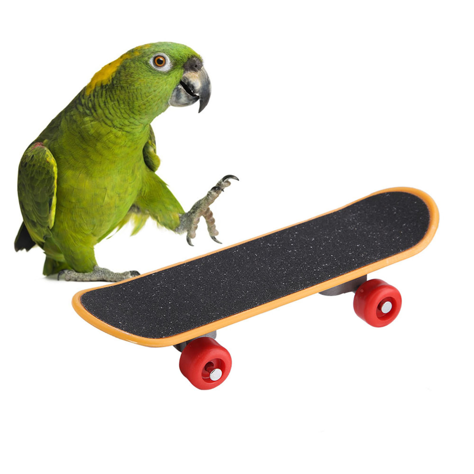 1Pc Skateboard Perch Stand Bird Funny Training Playing Interaction Toy♡