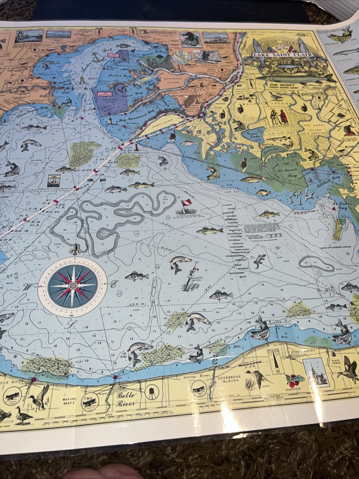 Nautical Fishing Chart Lake St Clair Michigan Laminated Map