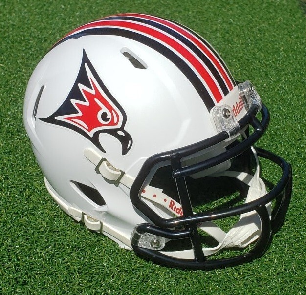 WISCONSIN - RIVER FALLS FALCONS SPEED FOOTBALL MINI HELMET, OTHERS AVAILABLE