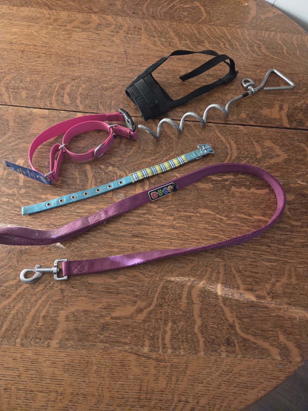 Dog Collar, Muzzle Lot