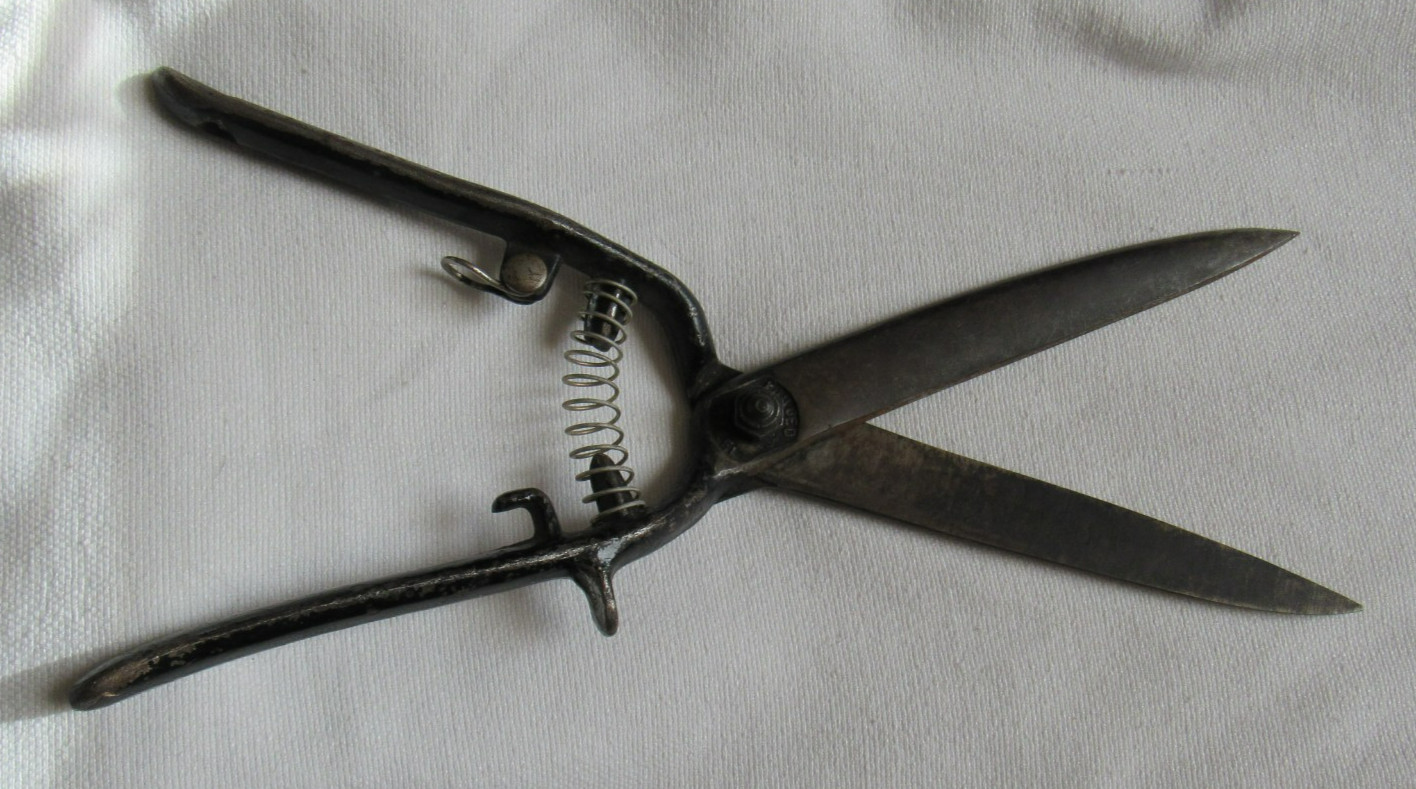 Vintage Grass Clippers Shears Unbranded Forged Steel Black Handles 6 inch blades