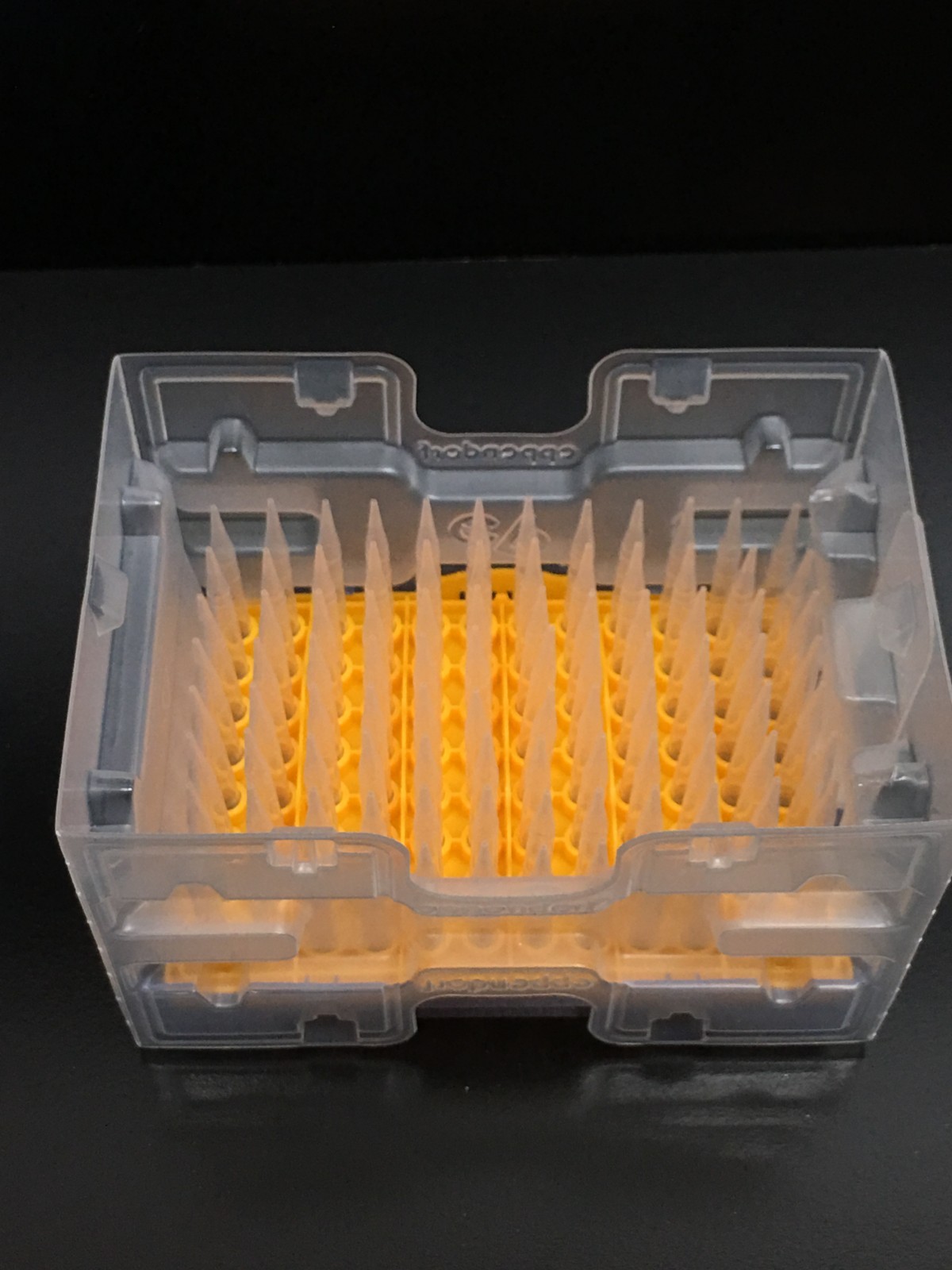 Eppendorf 300uL epTIPS Pipette Tips