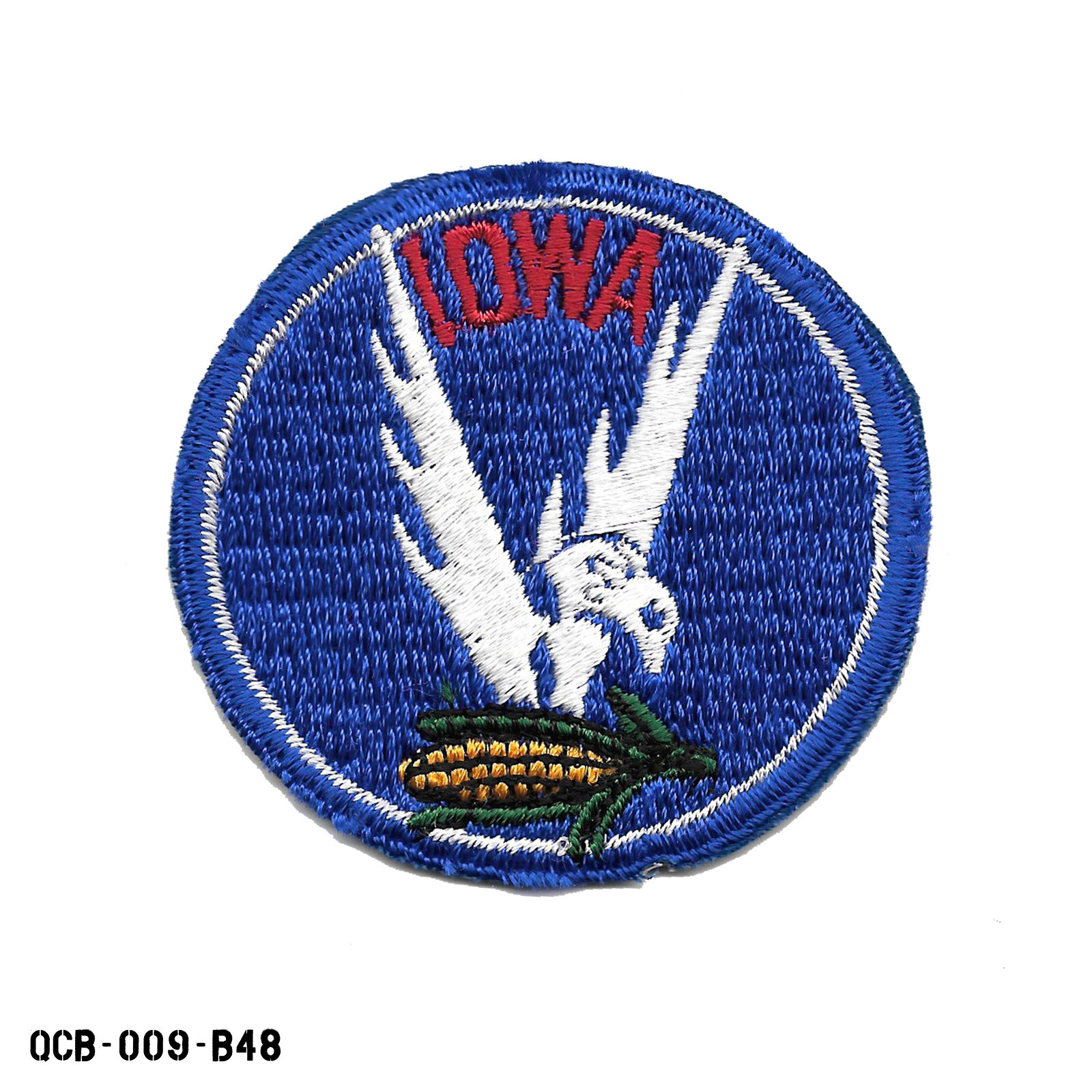 Civil Air Patrol CAP Patch ~ Iowa Wing ~ Cut Edge ~ USA ~ NEW