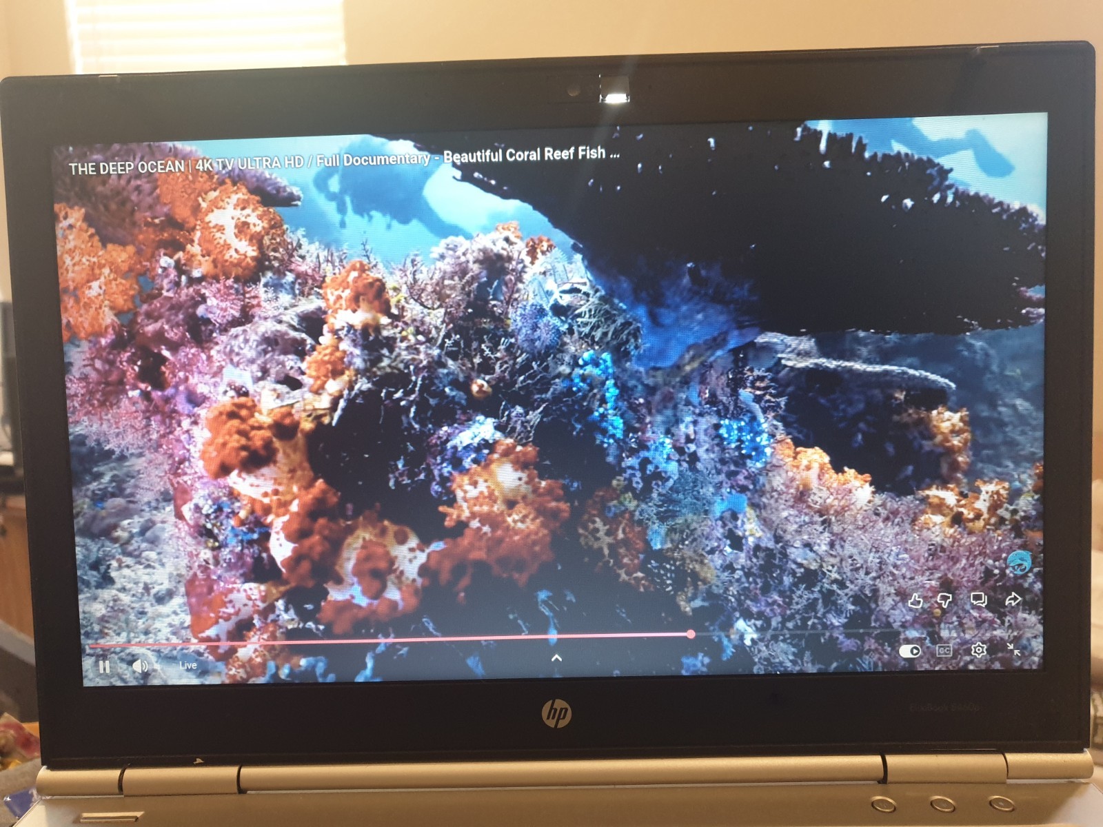 Linux MX V25.2, Xfce, 64-bit, Bootable Live and Install USB Flash Drive