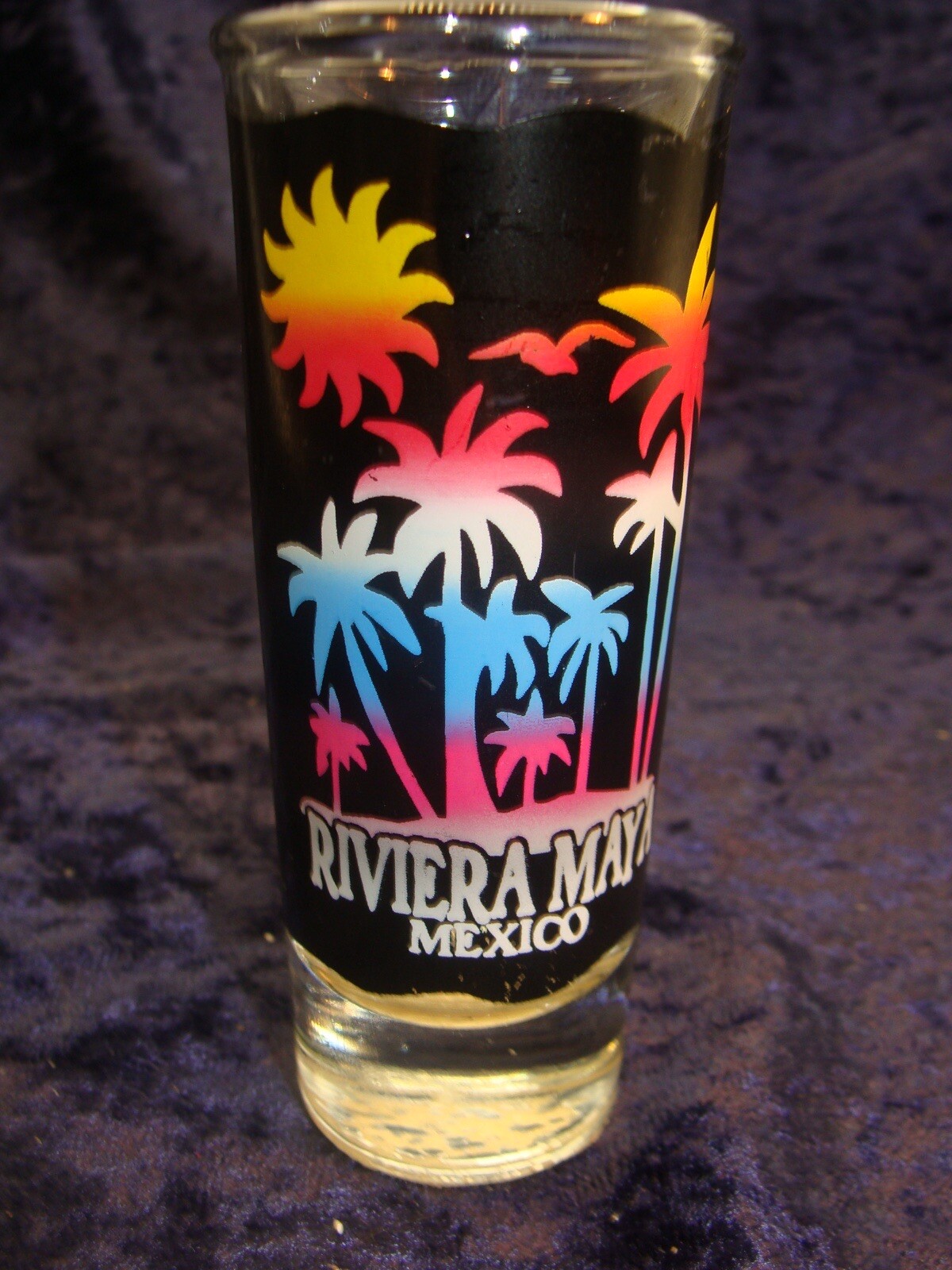 Riviera Maya Mexico ~ 4” ~ Shot Glass ~ Great Condition ~
