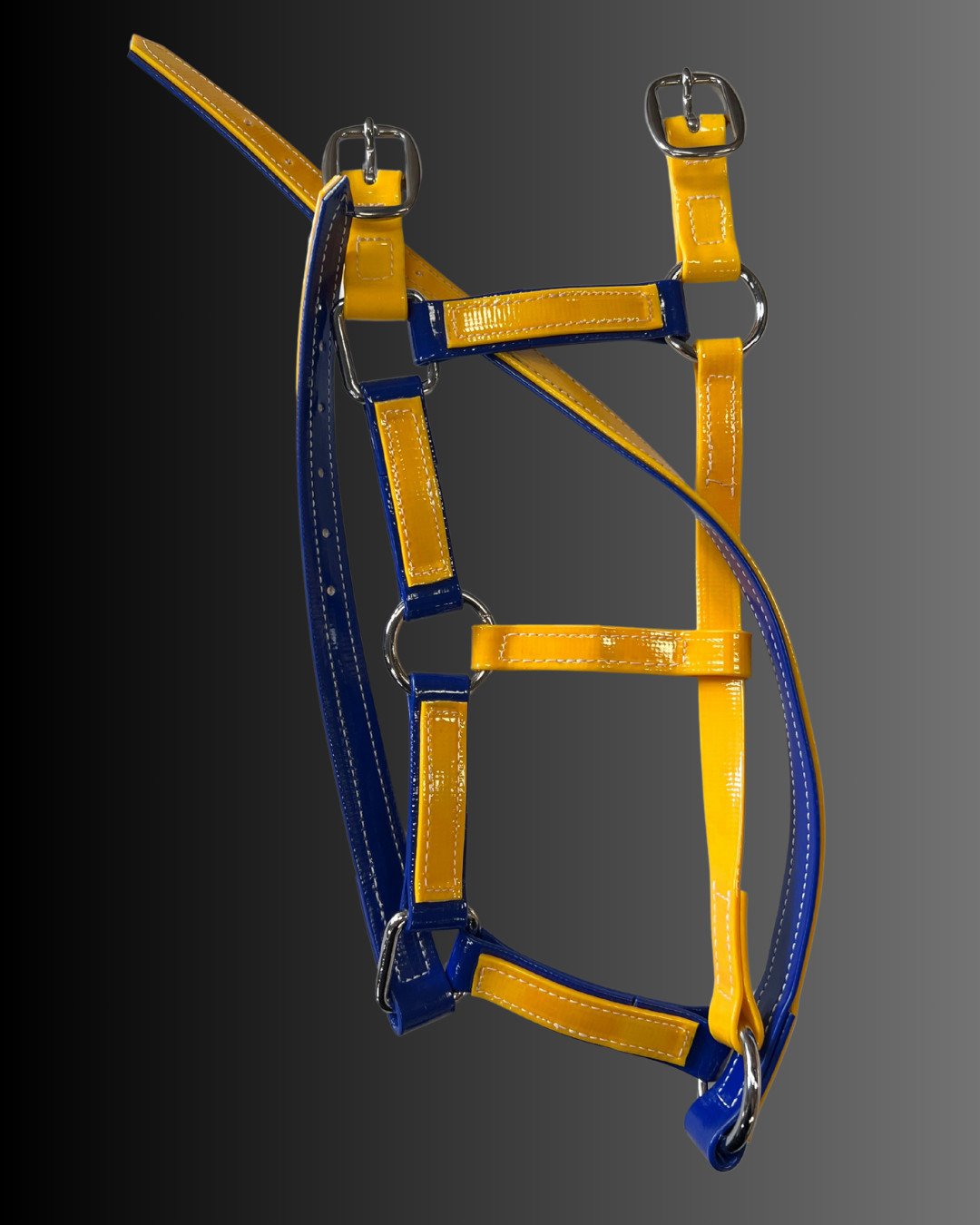 Auscoat PVC Headstall Fancy Multicolour - SS - Full/Cob/Pony - 16 colour range