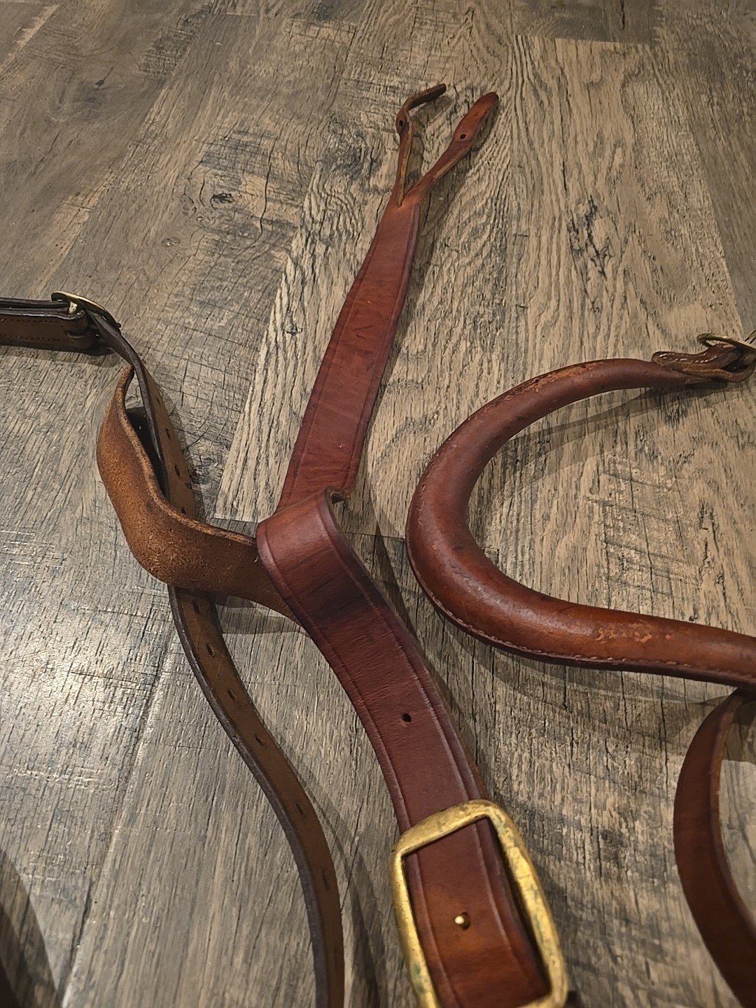 horse training surcingle