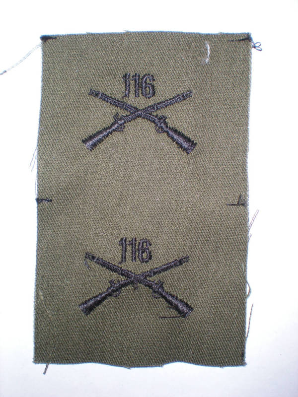 US ARMY OFFICER 116TH INFANTRY COLLAR INSIGNIA -1 PAIR