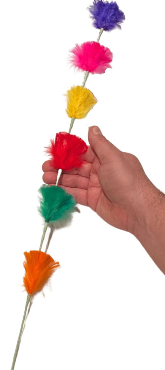 CHAMELEON FUNGUS COLOR CHANGING PLUMES Feather Flower Future Easy Magic Trick