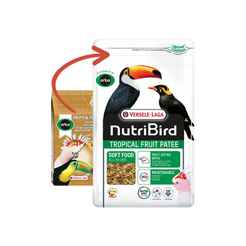 NutriBird Tropical Fruit Patee 2.2 lb