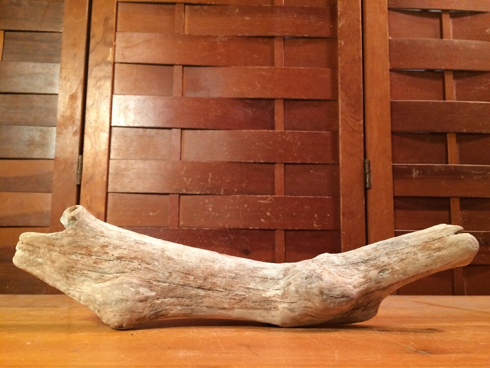 Beautiful 14" DRIFTWOOD Piece Art Terrarium Taxidermy Aquarium Beach Wood DECOR