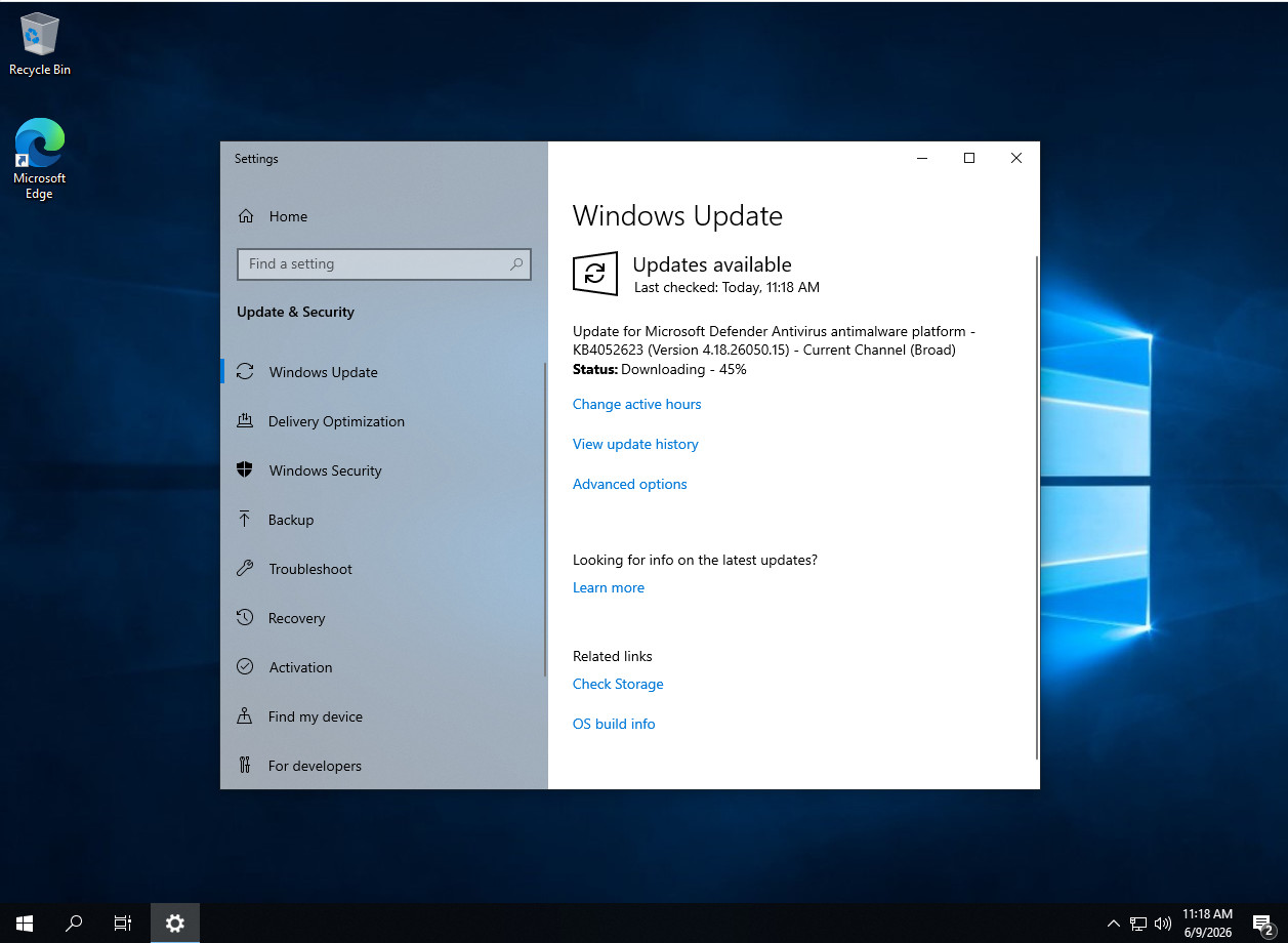 Windows 10 Enterprise LTSC 2019 for 20 devices