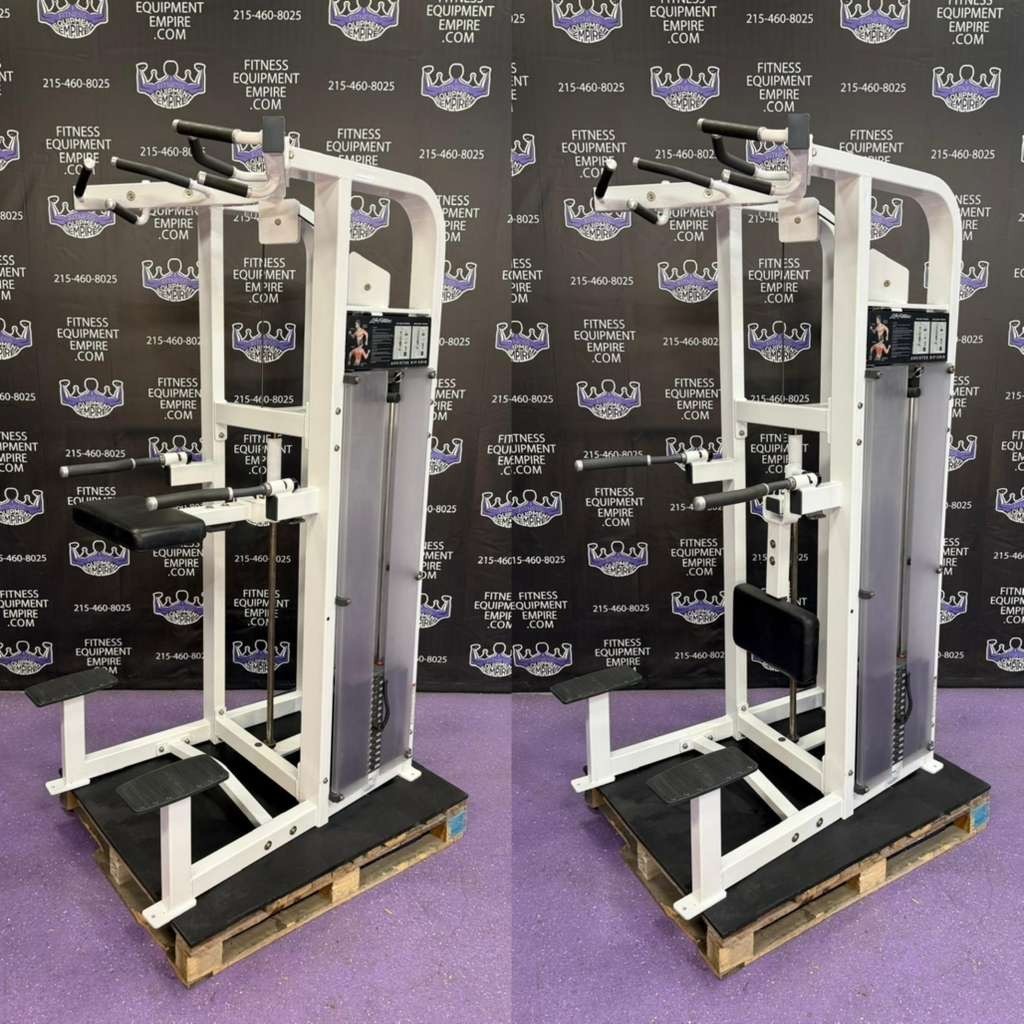 Life Fitness Hammer Assist & Weight Assist Dip & Pull-up - BUYER PAYS TO SHIP