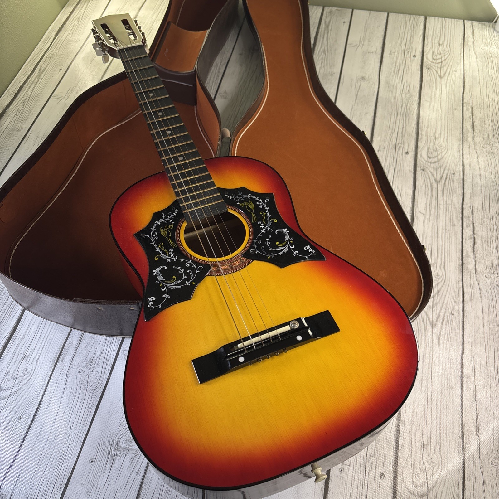 Vintage 1970s Sears and Roebuck Parlor Guitar Musical Instrument Decor and Case.