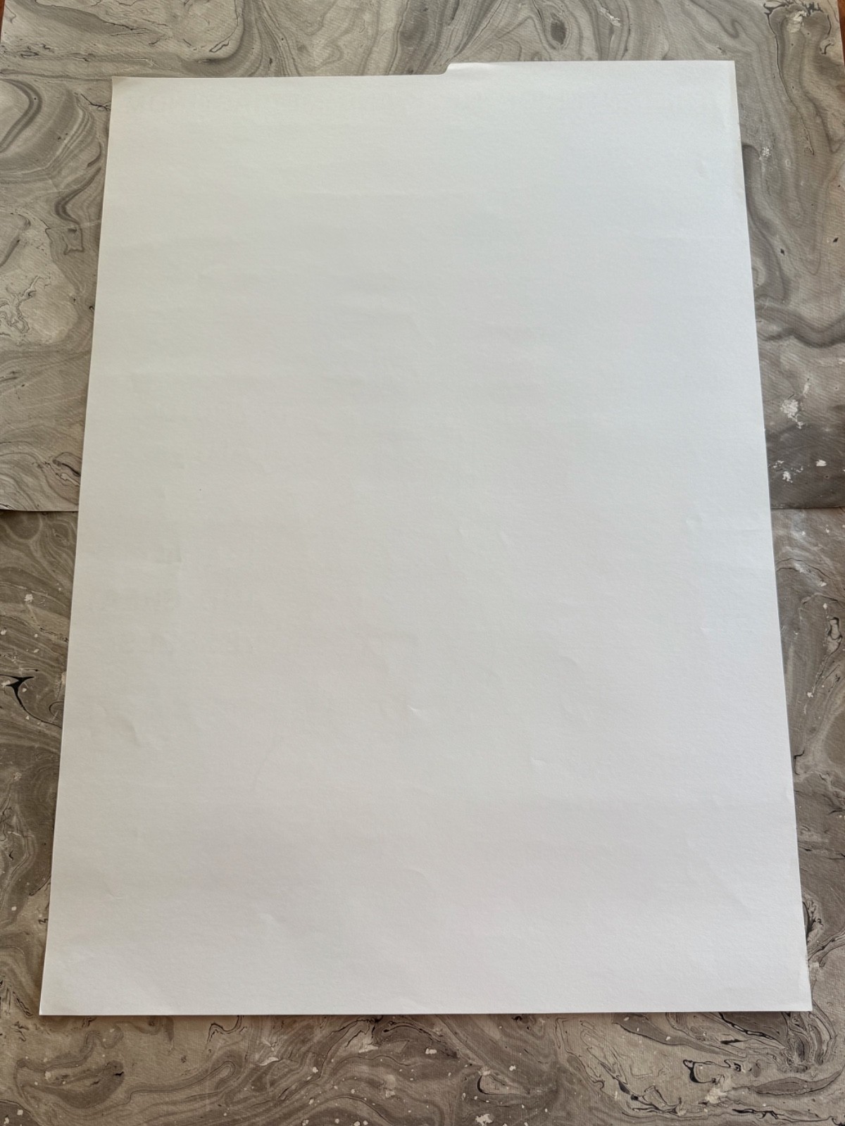 ANTERIOR NECK MEDIASTINUM Medical Chart 1961 LARGE SCHOOL CHART 21" X 29 3/4"