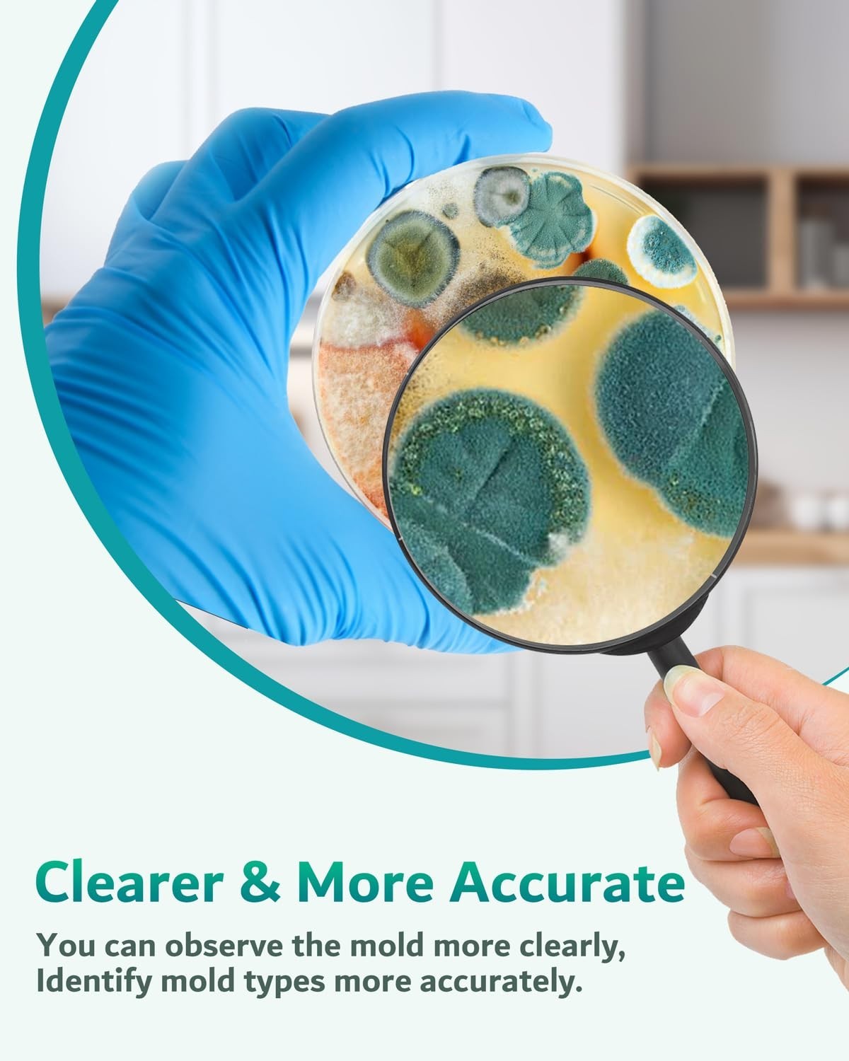 8 Mold Kit for DIY Home Detection - Air Quality & Surface Testing Made Easy