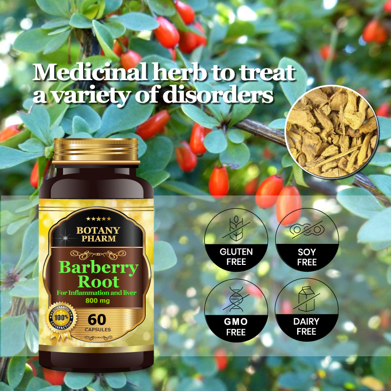 Barberry Root Bark For Cleanse & Detox, Cardiovascular. Anti-inflammatory