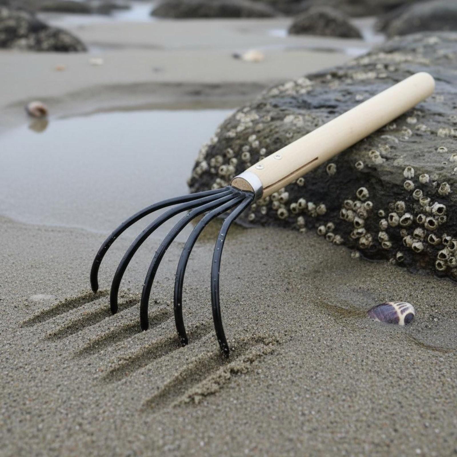 Mini Garden Rake Easy to Use Wood Handle Hand Rake Sturdy Duty for Beachcombing