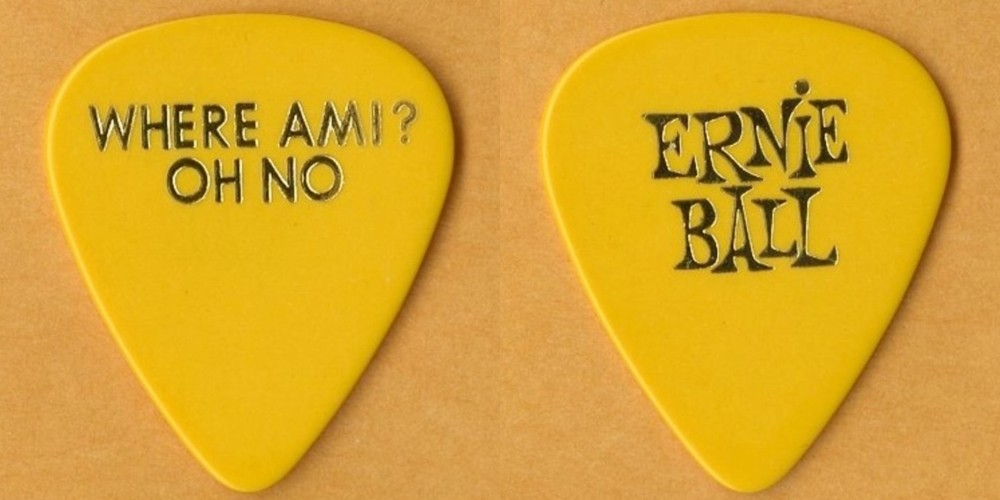 Pretenders 2003 Loose Screw concert tour Chrissie Hynde Where Am I? Guitar Pick