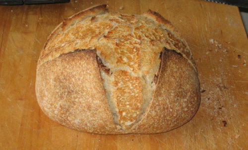 TOP SELLER SAN FRANCISCO-ZOURDOUGH SOURDOUGH STARTER- "sally" + many recipes@