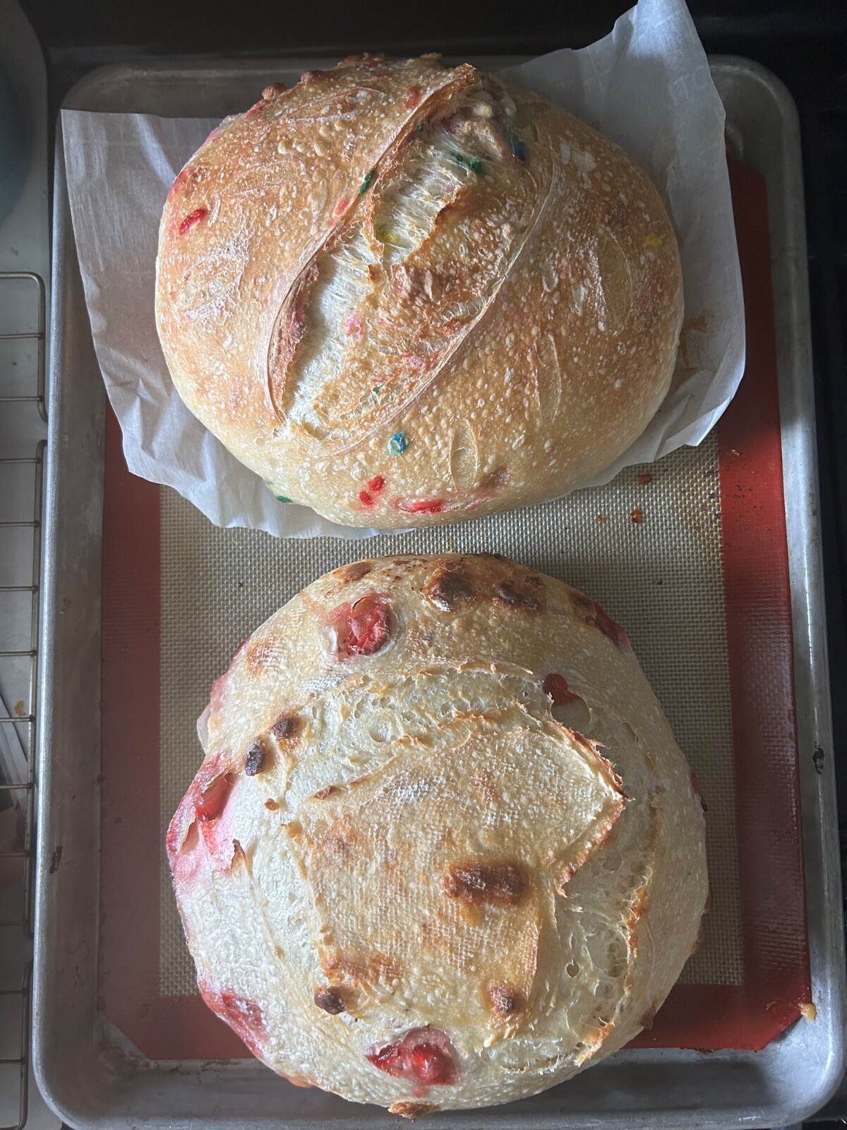 Dehydrated Sourdough Starter