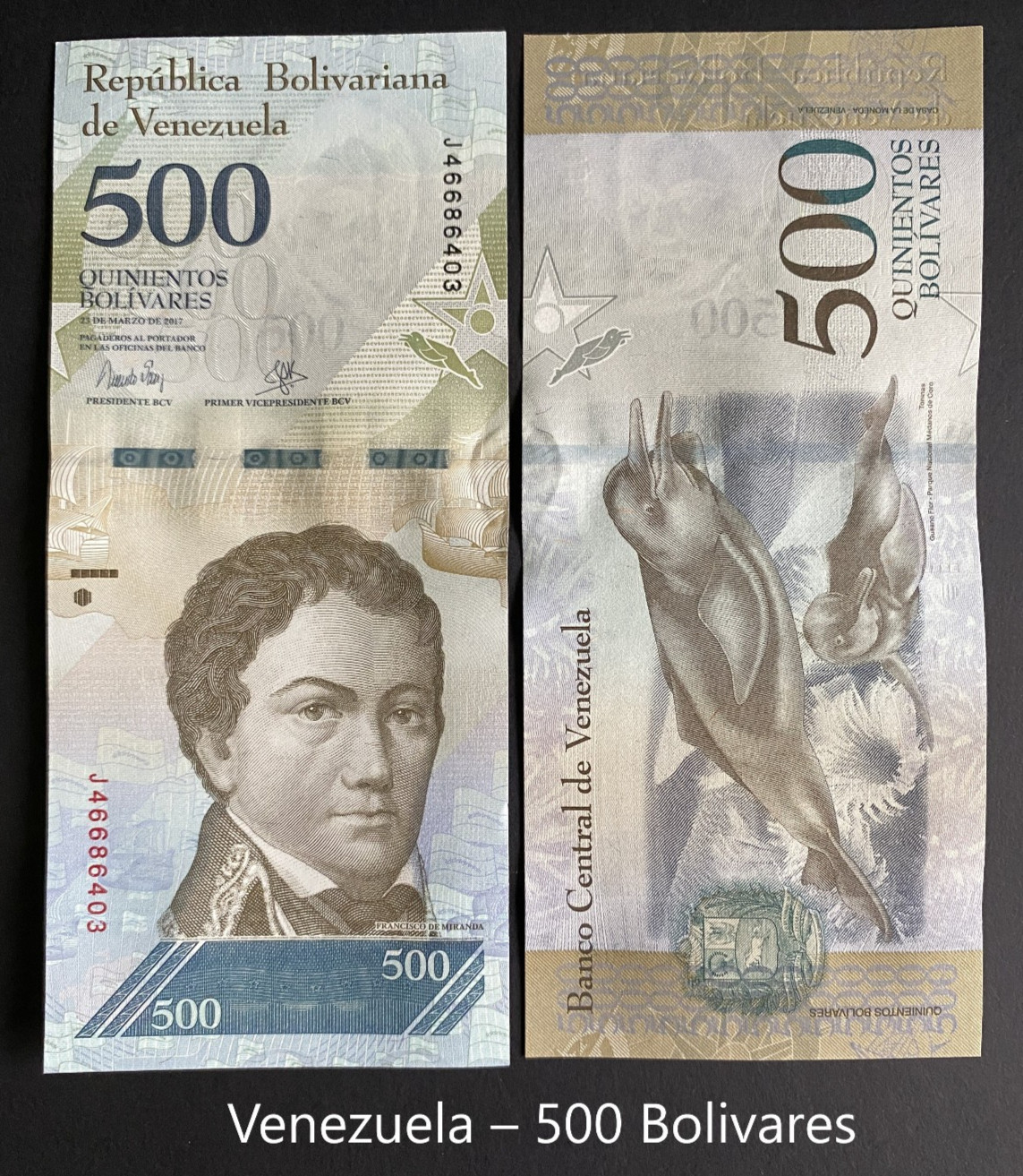 10 World Banknotes Starter Pack – Real Currency – UNC – Great Gift for Beginners