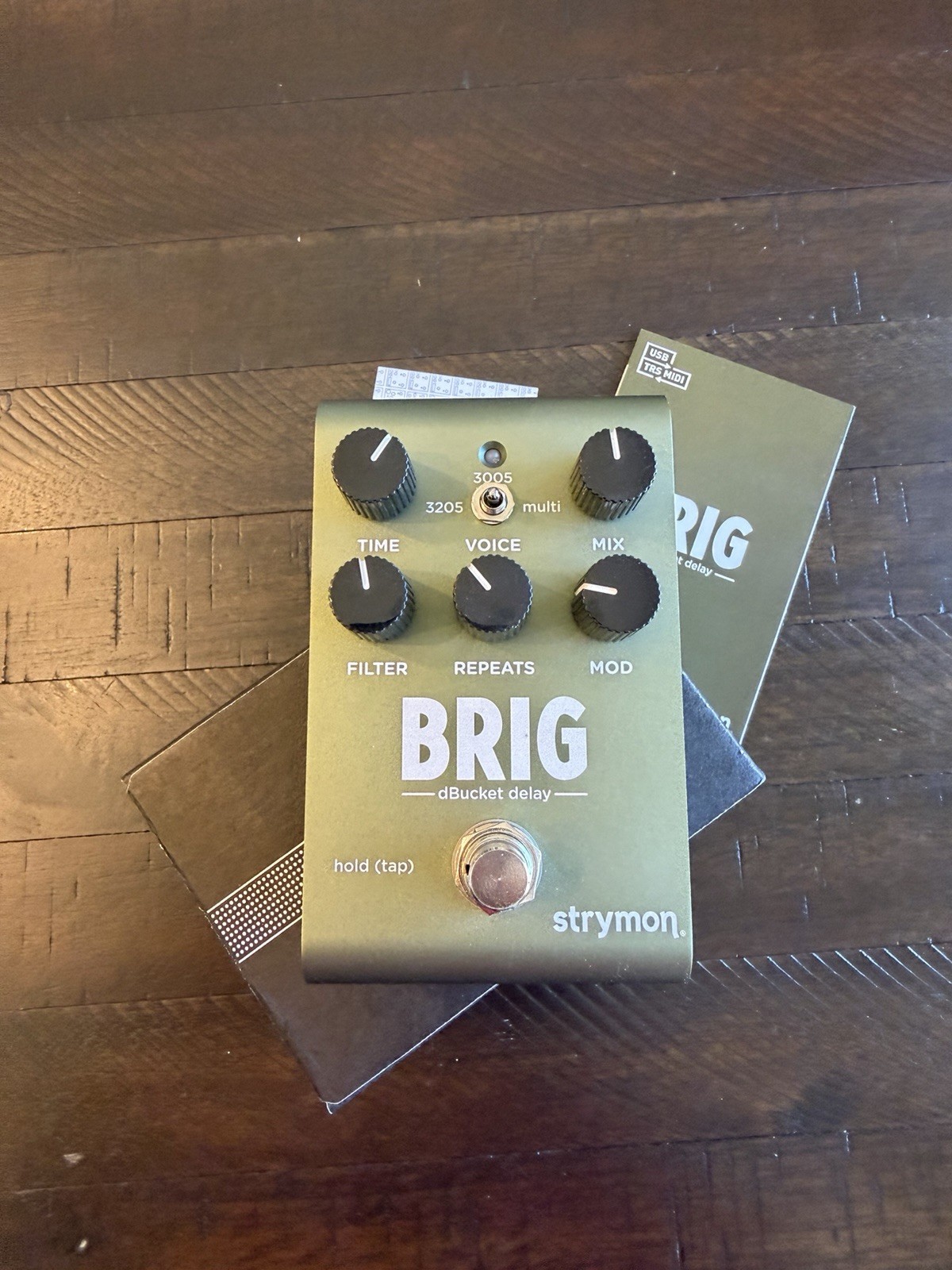 Strymon Brig dBucket Delay