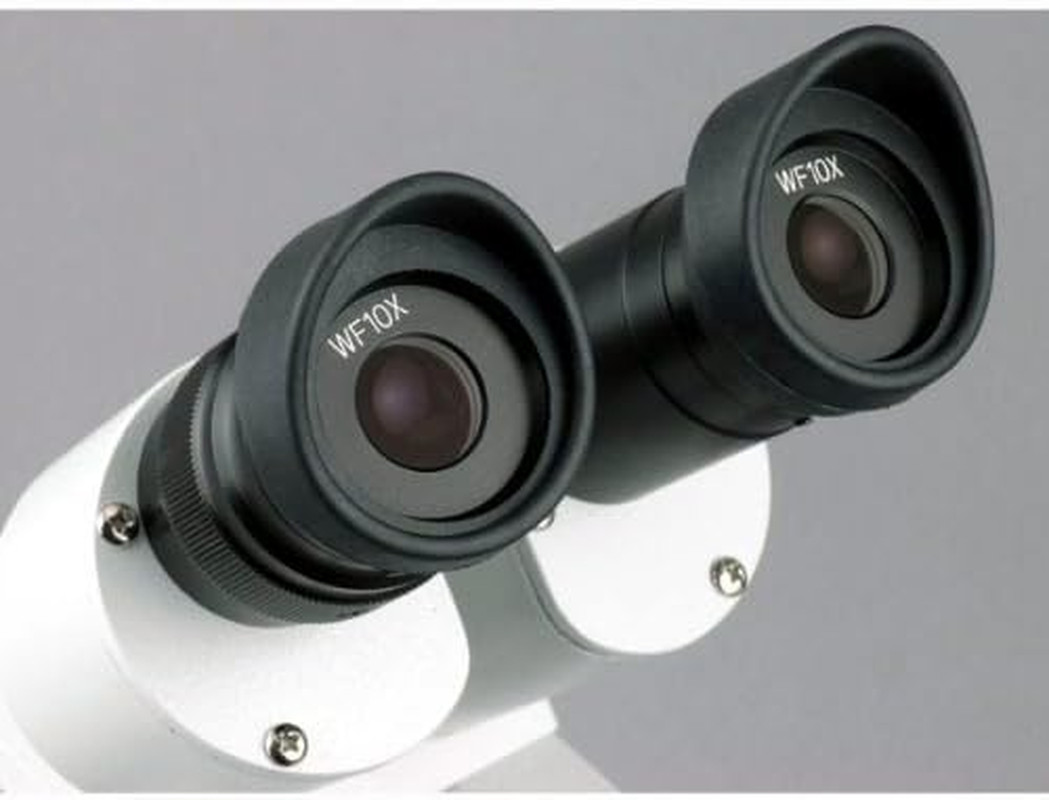 Sharp Forward Stereo Microscope 10X-30X