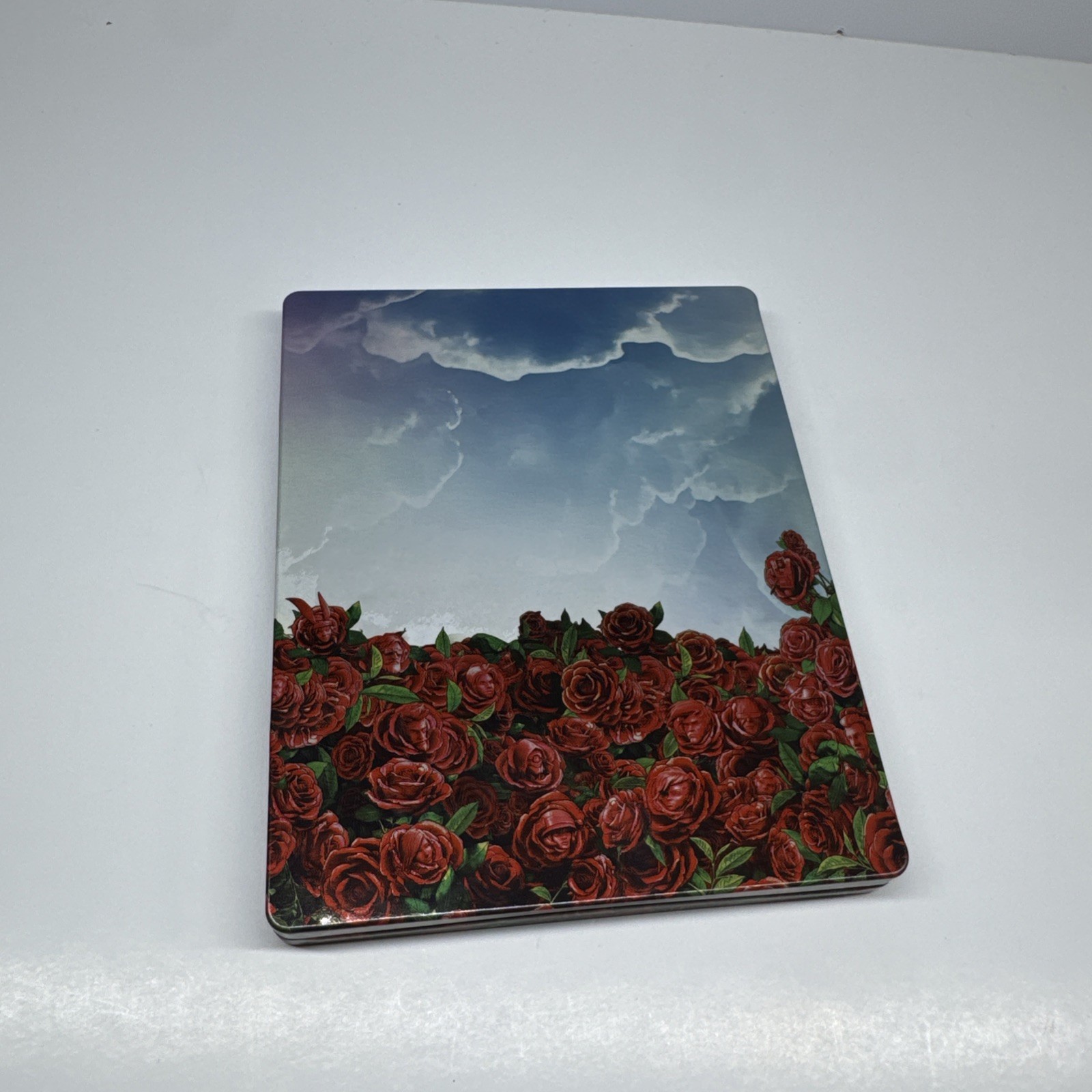 Borderlands 3 Steelbook (No Game)