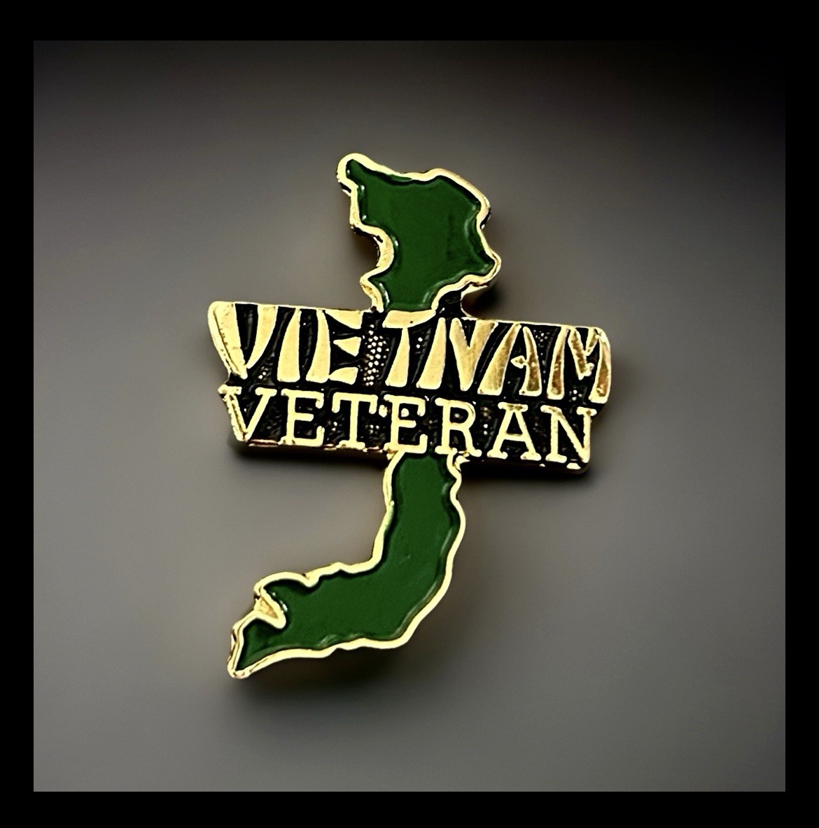 VIETNAM VETERAN Map Pin NEW
