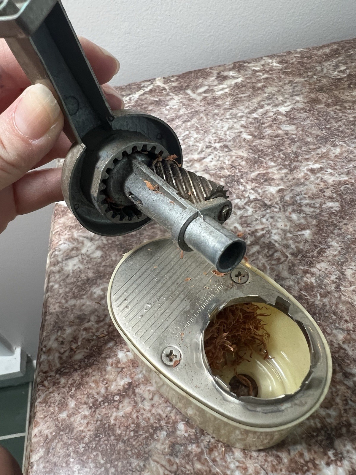 Vtg. Boston Bulldog Wall mount Pencil Sharpener