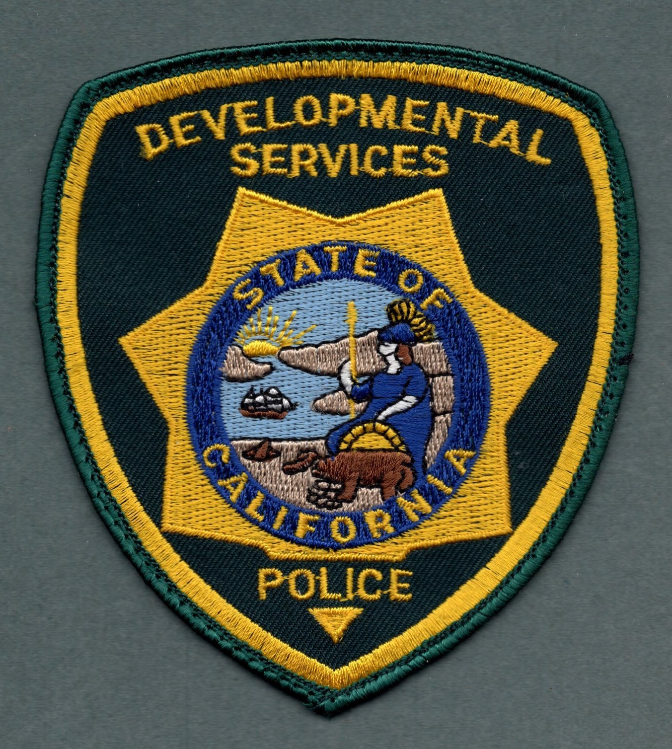 California Developmental Services Police Patch