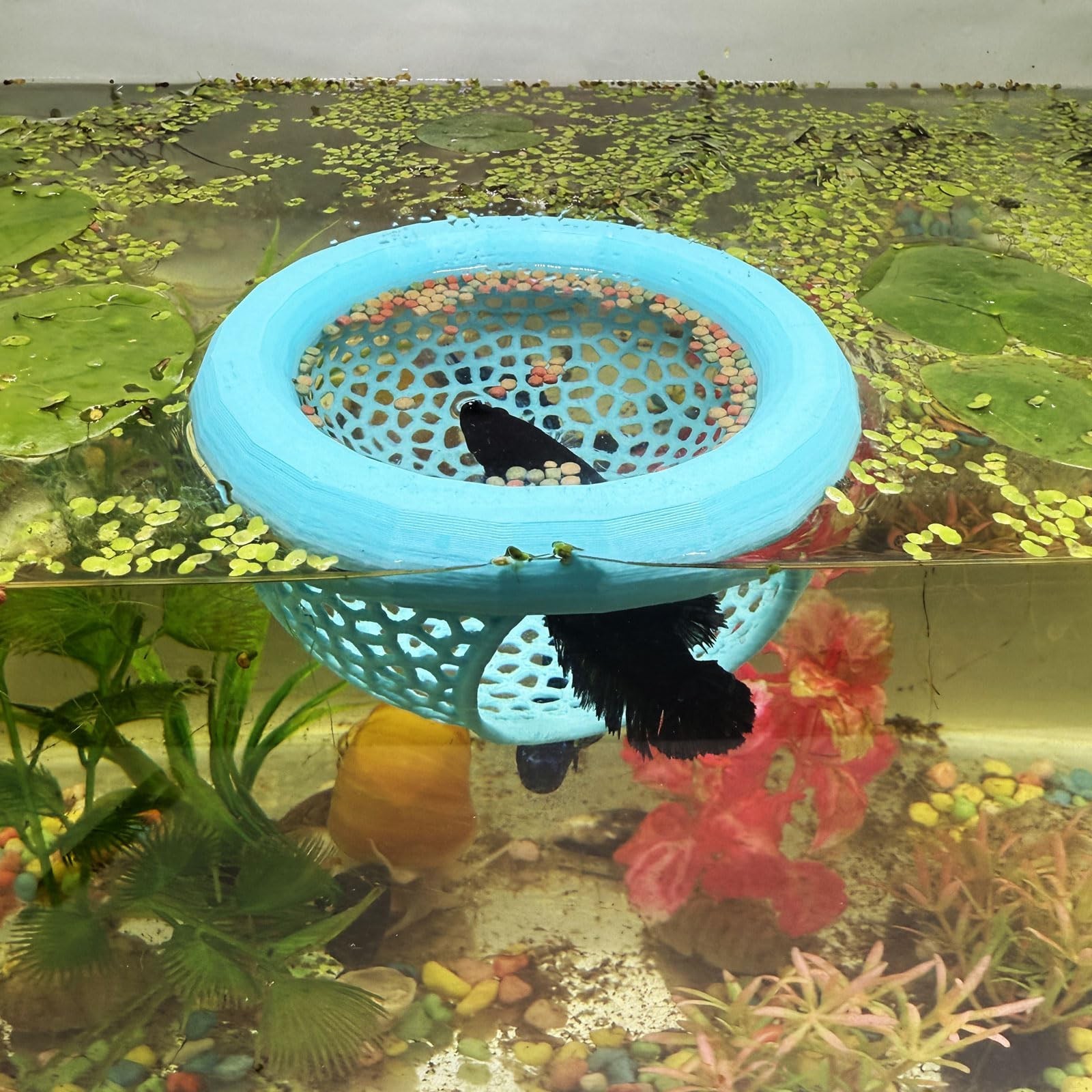 Aquarium Floating Betta Fish Skins, Betta or Shrimp Feeder, Cave and Hammock,...